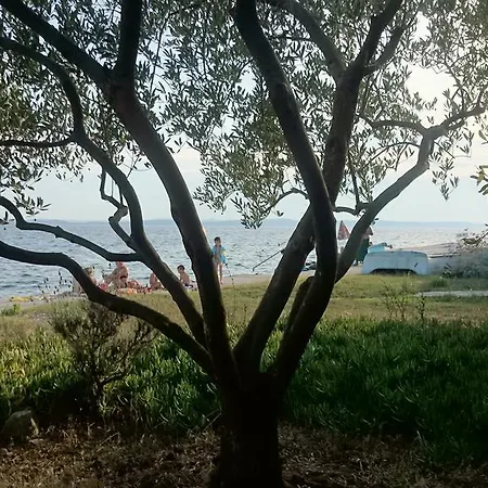 דירה Morovic פטרצ'אנה