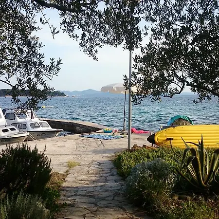 Morovic 佩特坎内