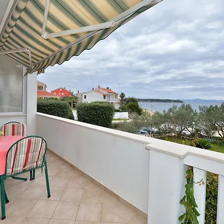 Morovic * 佩特坎内