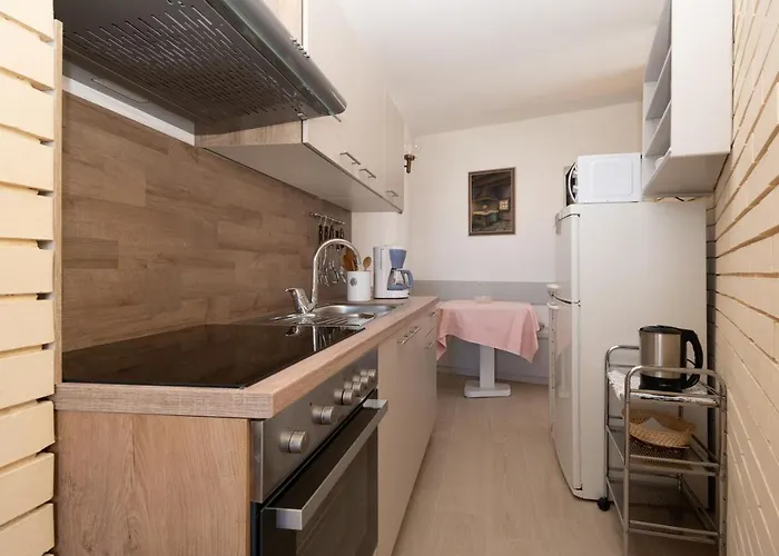 Morovic * 돈제페트레케인