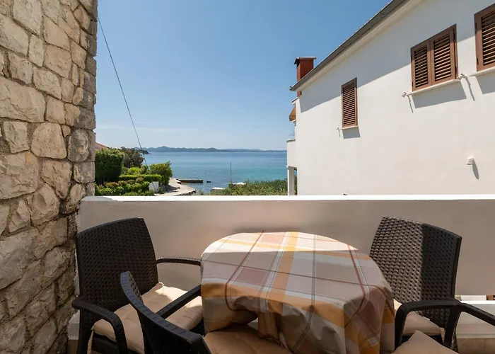 Morovic * 돈제페트레케인