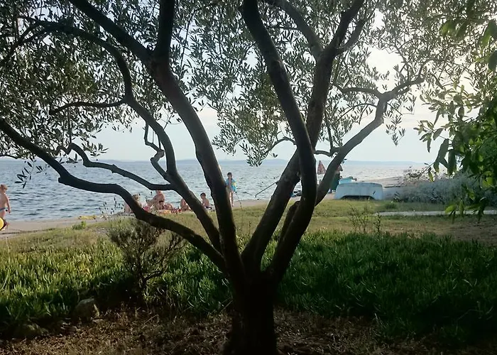 아파트 Morovic 돈제페트레케인