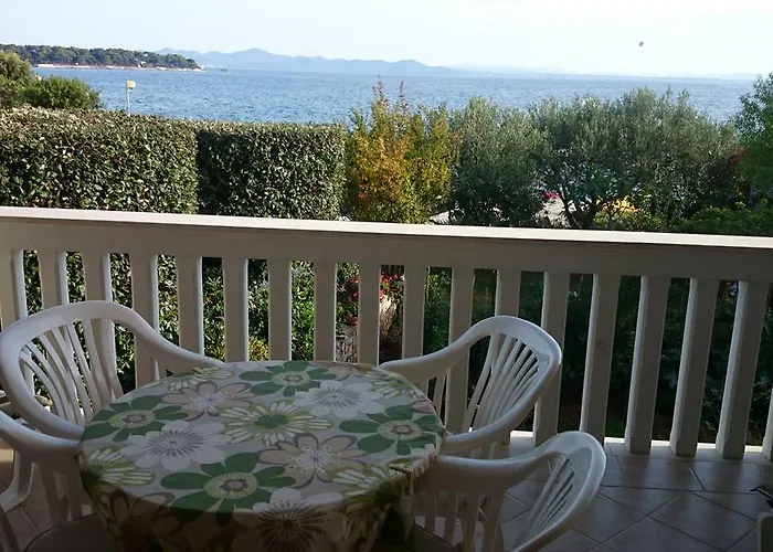 아파트 Morovic 돈제페트레케인