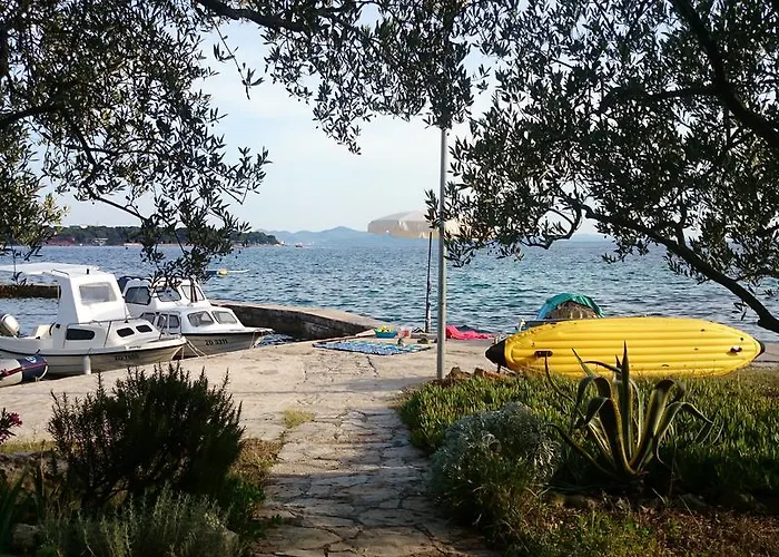 Morovic 돈제페트레케인