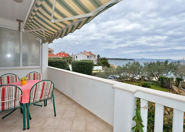 Morovic * 돈제페트레케인