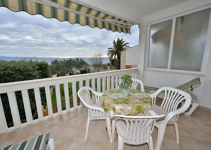 Morovic 돈제페트레케인