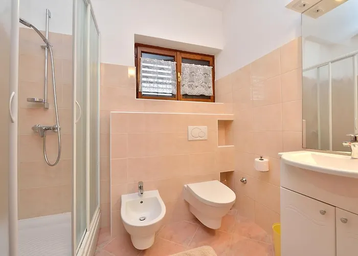 아파트 Morovic 돈제페트레케인