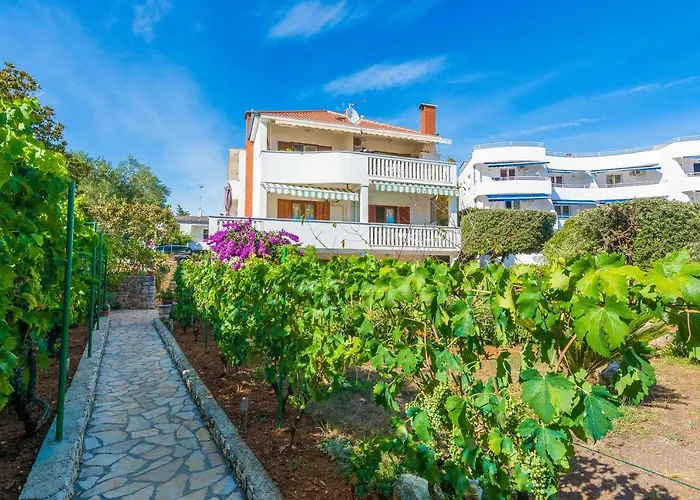 아파트 Morovic 돈제페트레케인